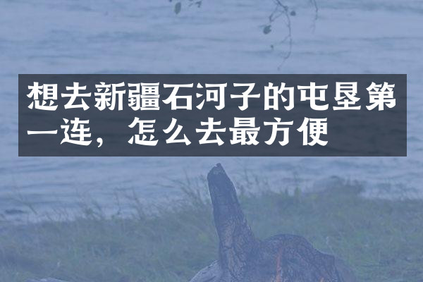 想去新疆石河子的屯垦第一连，怎么去最方便