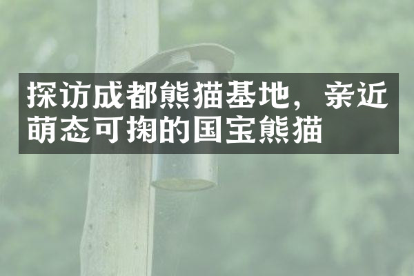 探访成都熊猫基地，亲近萌态可掬的国宝熊猫
