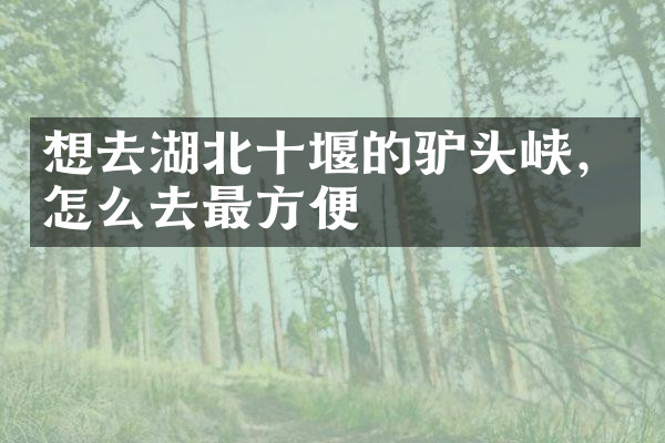 想去湖北十堰的驴头峡，怎么去最方便