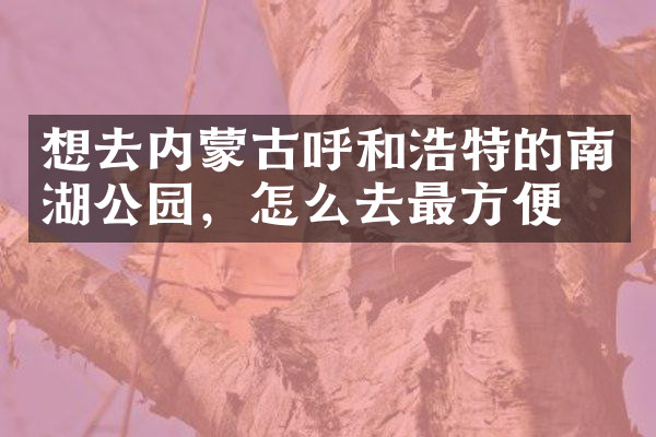想去内蒙古呼和浩特的南湖公园，怎么去最方便