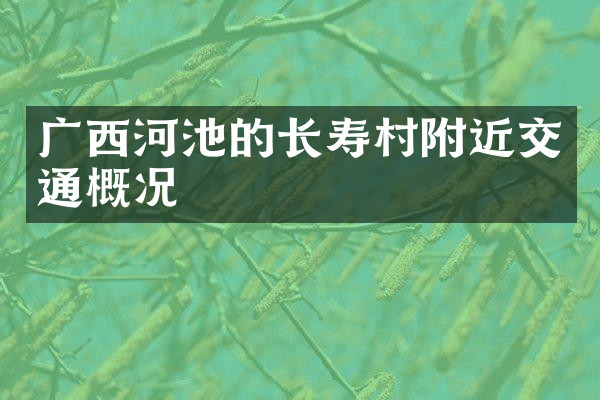 广西河池的长寿村附近交通概况