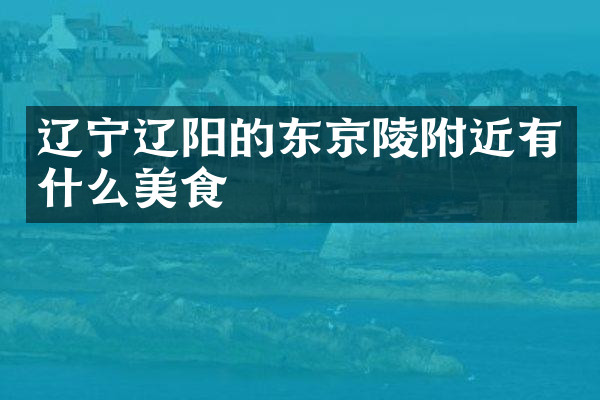 辽宁辽阳的东京陵附近有什么美食