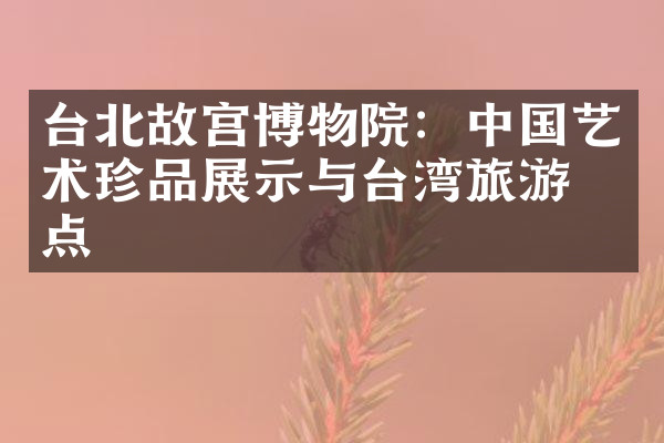 台北故宫博物院：中国艺术珍品展示与台湾旅游热点