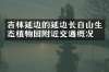 吉林延边的延边长白山生态植物园附近交通概况