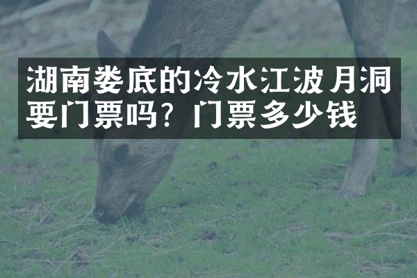 湖南娄底的冷水江波月洞要门票吗？门票多少钱？