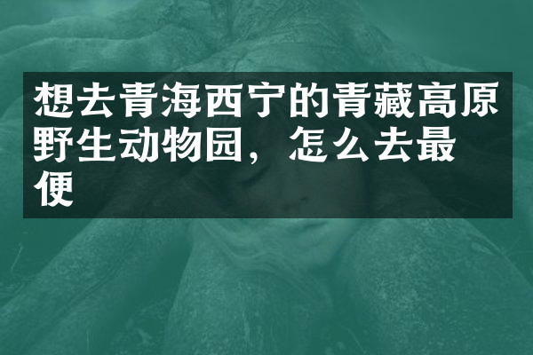 想去青海西宁的青藏高原野生动物园，怎么去最方便