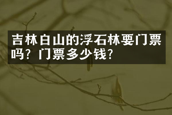 吉林白山的浮石林要门票吗？门票多少钱？