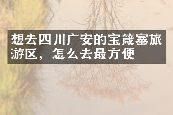 想去四川广安的宝箴塞旅游区，怎么去最方便