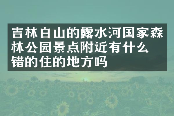 吉林白山的露水河国家森林公园景点附近有什么不错的住的地方吗