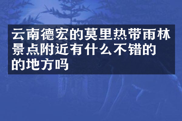 云南德宏的莫里热带雨林景点附近有什么不错的住的地方吗