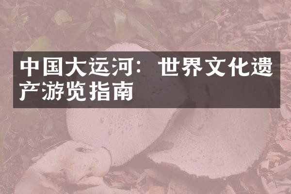 中国大运河：世界文化遗产游览指南