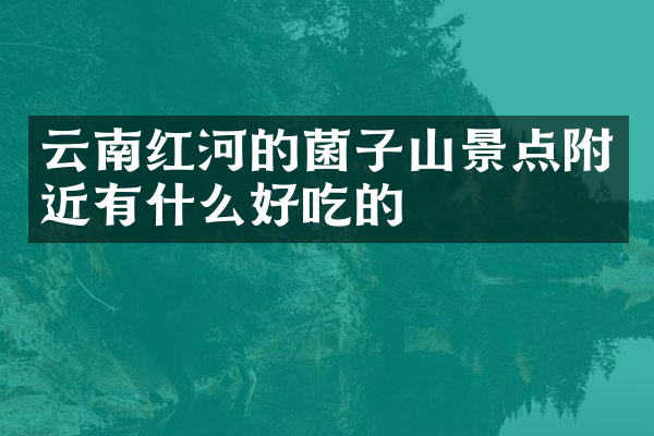 云南红河的菌子山景点附近有什么好吃的