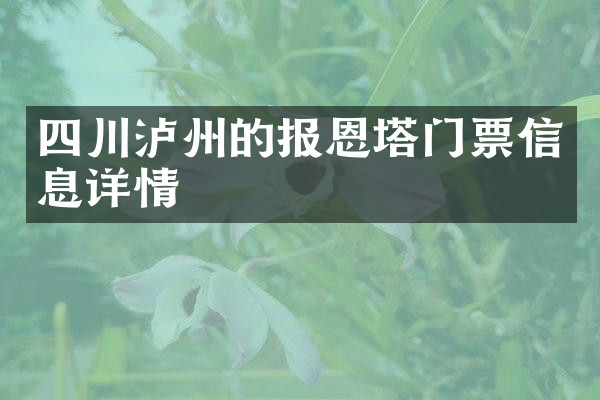四川泸州的报恩塔门票信息详情