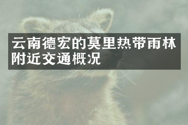 云南德宏的莫里热带雨林附近交通概况