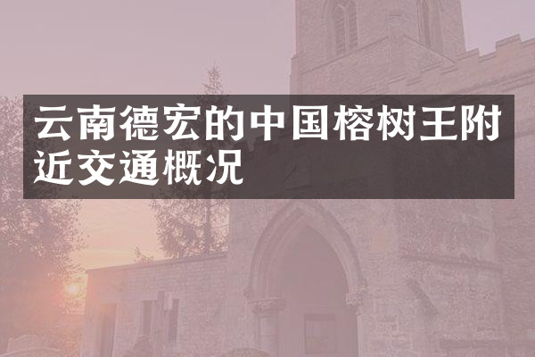 云南德宏的中国榕树王附近交通概况