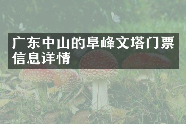 广东中山的阜峰文塔门票信息详情