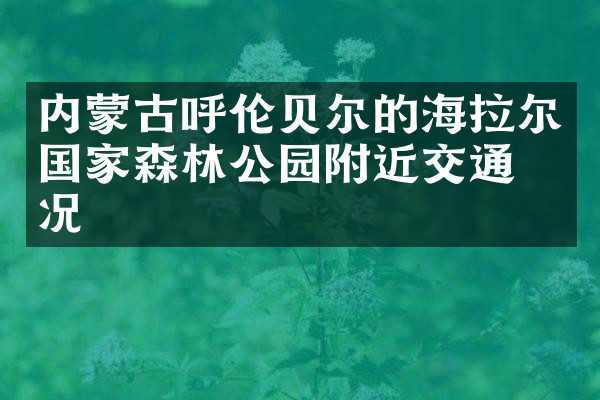 内蒙古呼伦贝尔的海拉尔国家森林公园附近交通概况