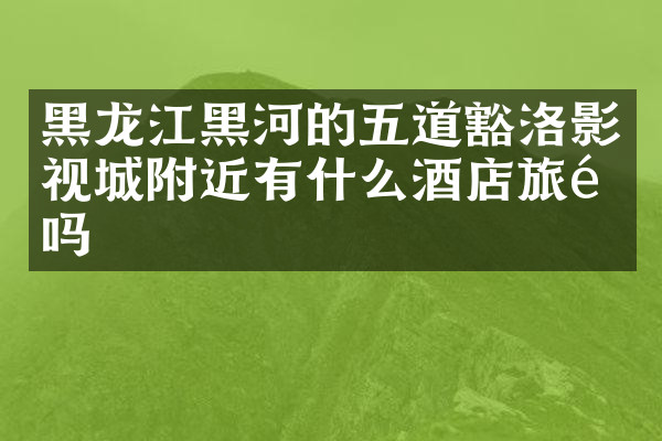 黑龙江黑河的五道豁洛影视城附近有什么酒店旅馆吗