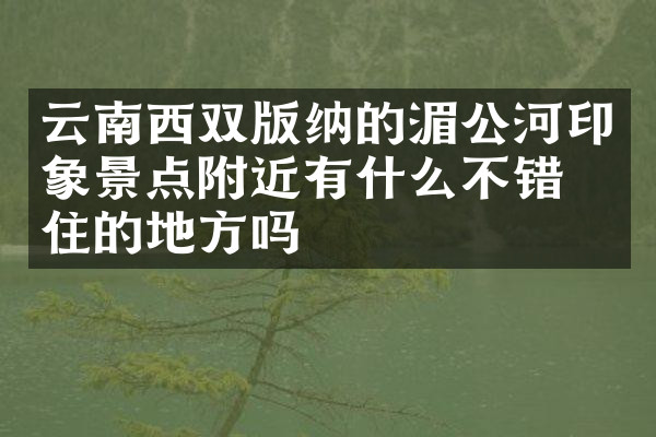 云南西双版纳的湄公河印象景点附近有什么不错的住的地方吗