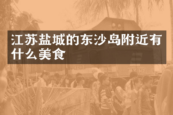 江苏盐城的东沙岛附近有什么美食