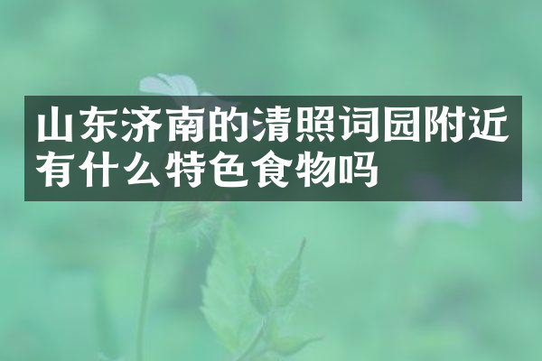 山东济南的清照词园附近有什么特色食物吗