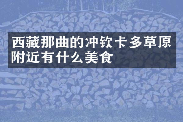 西藏那曲的冲钦卡多草原附近有什么美食