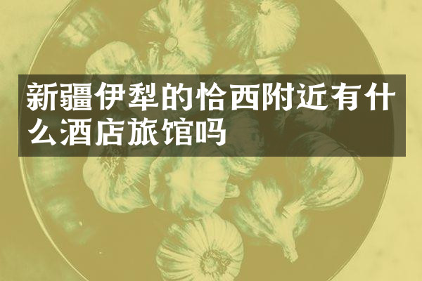 新疆伊犁的恰西附近有什么酒店旅馆吗