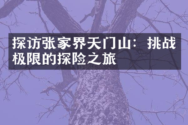 探访张家界天门山：挑战极限的探险之旅