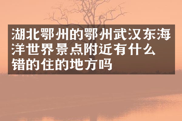 湖北鄂州的鄂州武汉东海洋世界景点附近有什么不错的住的地方吗