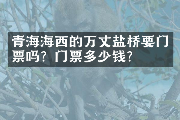青海海西的万丈盐桥要门票吗？门票多少钱？