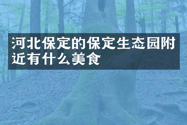 河北保定的保定生态园附近有什么美食