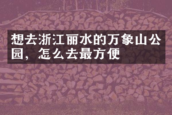 想去浙江丽水的万象山公园，怎么去最方便