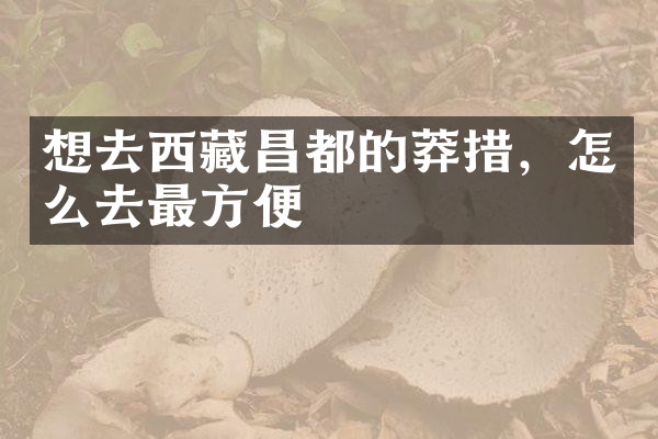想去西藏昌都的莽措，怎么去最方便