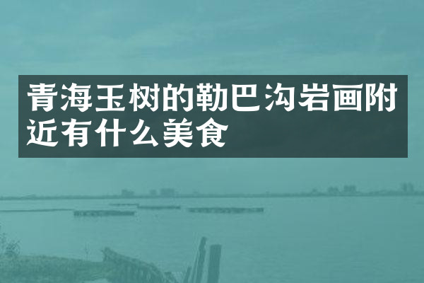 青海玉树的勒巴沟岩画附近有什么美食