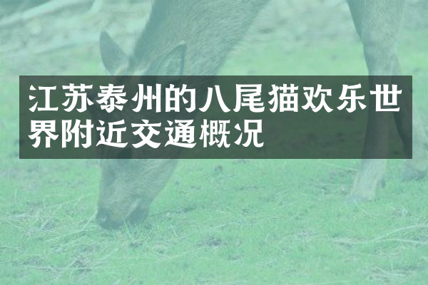 江苏泰州的八尾猫欢乐世界附近交通概况