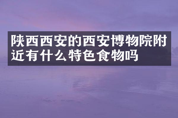 陕西西安的西安博物院附近有什么特色食物吗