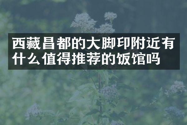 西藏昌都的大脚印附近有什么值得推荐的饭馆吗