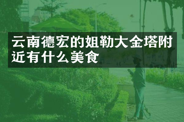 云南德宏的姐勒大金塔附近有什么美食