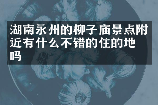 湖南永州的柳子庙景点附近有什么不错的住的地方吗