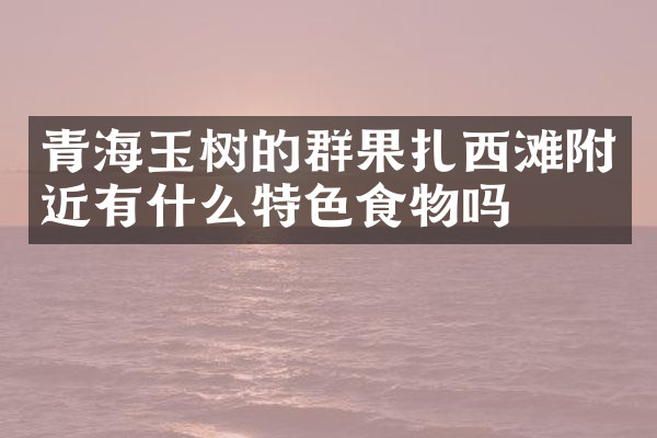 青海玉树的群果扎西滩附近有什么特色食物吗