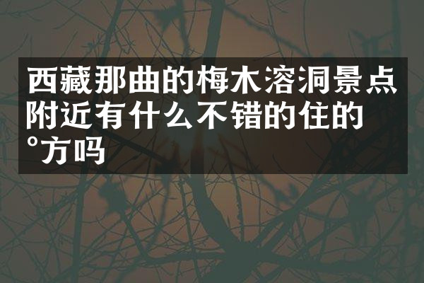 西藏那曲的梅木溶洞景点附近有什么不错的住的地方吗
