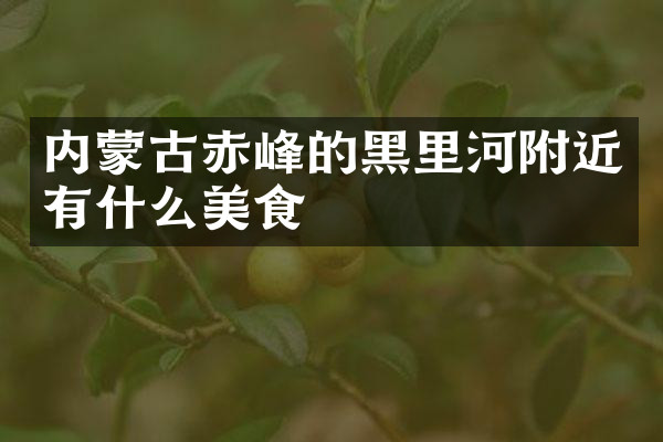 内蒙古赤峰的黑里河附近有什么美食