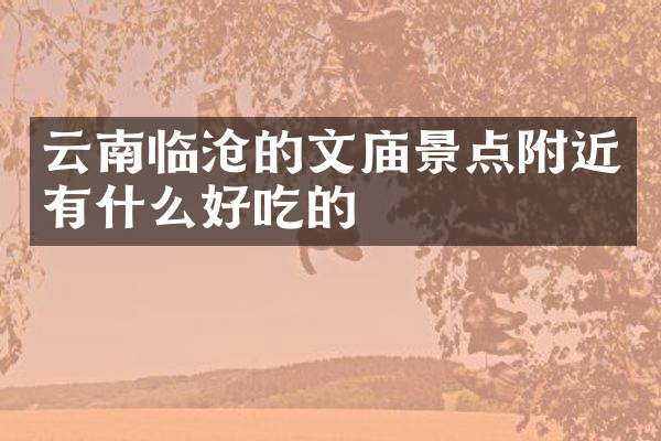 云南临沧的文庙景点附近有什么好吃的