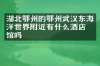湖北鄂州的鄂州武汉东海洋世界附近有什么酒店旅馆吗