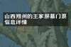 山西朔州的王家屏墓门票信息详情
