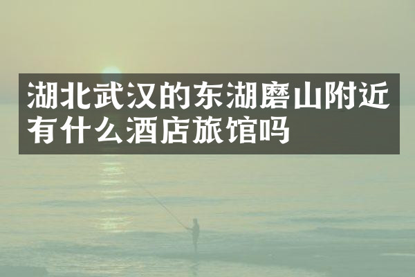 湖北武汉的东湖磨山附近有什么酒店旅馆吗