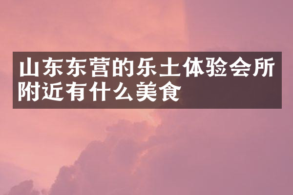 山东东营的乐土体验会所附近有什么美食