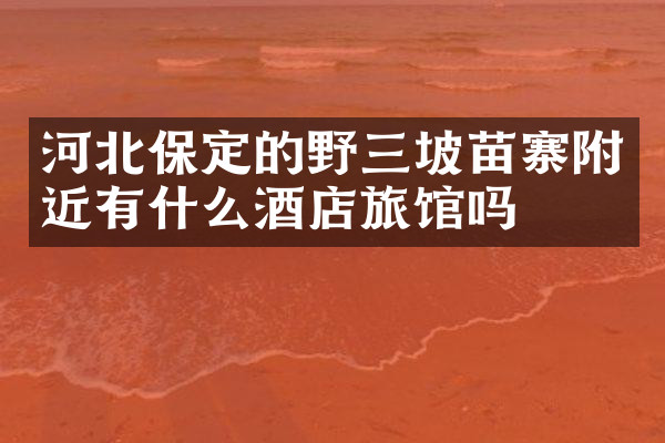 河北保定的野三坡苗寨附近有什么酒店旅馆吗