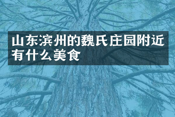 山东滨州的魏氏庄园附近有什么美食