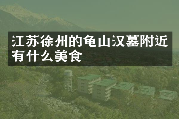 江苏徐州的龟山汉墓附近有什么美食